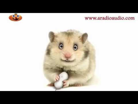 jokes: नर्स लाई के भन्छन् अंग्रेजीमा ?